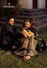Asim Jofa Chikankari Eid '24 Ajce-06 Embroidered Chiffon 3 Pcs