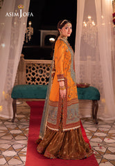 Asim Jofa Chandni Raatein Ajcr-07 Embroidered Chiffon 3 Pcs