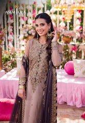 Asim Jofa Jag Mag Ajmj-06 Embroidered Net 3 Pcs