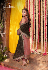 Asim Jofa Jag Mag Ajmj-17 Embroidered Net 3 Pcs