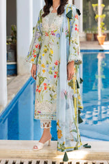Meraki By Asifa Nabeel Unstitched 3 Piece Digital Printed Lawn Vol-02 Collection'2024-MK-04-Suroor