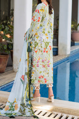 Meraki By Asifa Nabeel Unstitched 3 Piece Digital Printed Lawn Vol-02 Collection'2024-MK-04-Suroor