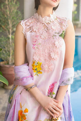Meraki By Asifa Nabeel Unstitched 3 Piece Digital Printed Lawn Vol-02 Collection'2024-MK-05-Bulbul