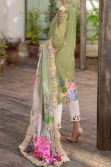 Meraki By Asifa Nabeel Unstitched 3 Piece Digital Printed Lawn Vol-02 Collection'2024-MK-07-Meyna