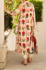 Meraki By Asifa Nabeel Unstitched 3 Piece Digital Printed Lawn Vol-02 Collection'2024-MK-09-Gulabo
