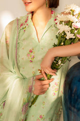 Meraki By Asifa Nabeel Unstitched 3 Piece Digital Printed Lawn Vol-02 Collection'2024-MK-11-Gul-e-Rana