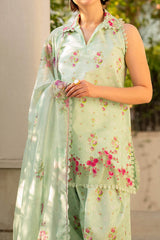 Meraki By Asifa Nabeel Unstitched 3 Piece Digital Printed Lawn Vol-02 Collection'2024-MK-11-Gul-e-Rana