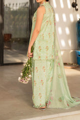 Meraki By Asifa Nabeel Unstitched 3 Piece Digital Printed Lawn Vol-02 Collection'2024-MK-11-Gul-e-Rana