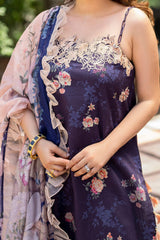 Meraki By Asifa Nabeel Unstitched 3 Piece Digital Printed Lawn Vol-02 Collection'2024-MK-13-Zahra