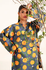 Fleur Co Ords By Sheenora Stitched 2 Piece Lawn Silk Collection'2024-Citrus Charm