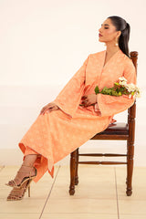 Fleur Co Ords By Sheenora Stitched 2 Piece Lawn Silk Collection'2024-Peach Blossom