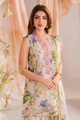 Meraki By Asifa Nabeel Unstitched 3 Piece Winter Vol-01 Collection'2024
