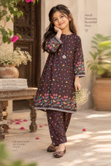Aroob Stitched Co Ords Summer Suit-D-0273 BROWN