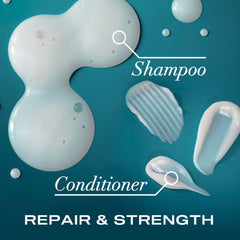 OGX, Shampoo, Renewing+ Argan Oil of Morocco, 385ml