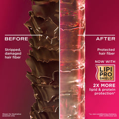 OGX, Shampoo, Anti-Breakage+ Keratin Oil, 385ml