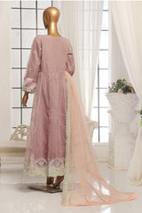 Bin Saeed Stitched 3 Piece Luxury Emb Organza Frock Collection'2025-OWS-1833-T Pink