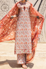 Taneez by Roheenaz Unstitched 3 Piece Block Printed Lawn Suit-RNB-03-B-Yekta