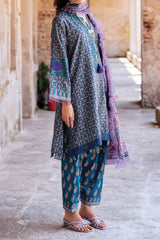 Taneez by Roheenaz Unstitched 3 Piece Block Printed Lawn Suit-RNB-06-B-Elika