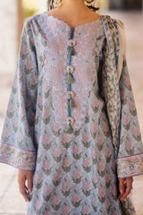 Taneez by Roheenaz Unstitched 3 Piece Block Printed Lawn Suit-RNB-10-B-Mahnaz