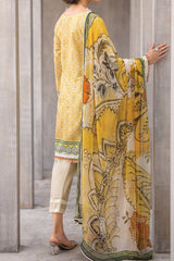Azalea By Roheenaz Unstitched 3 Piece Printed Lawn Suit-RNZ-03-A-Celestial Silk