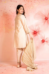 Best Cey Cotton Embroidered 3 Pc Suit - Wear Ochre -
