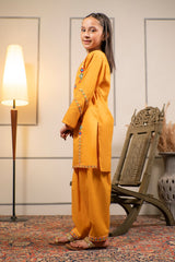 Ochre Clothing Cotton Embroidered 2 Pc Suit