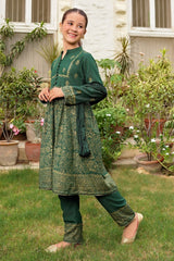 Cotton Karandi Printed 3 Pc Suit - Wear Ochre