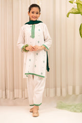 Ochre Clothing Chambray Cotton Embroidered 3 Pc Suit