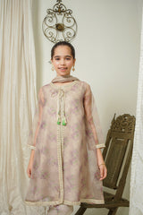 Organza Printed Embroidered 3 Pc Suit - Wear Ochre