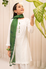 Ochre Clothing Chikankari 3 Pc Suit