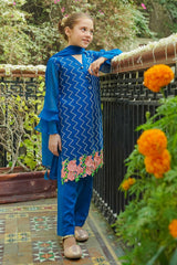 Chiffon Embroidered 3 Pc Suit - Wear Ochre