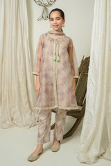 Organza Printed Embroidered 3 Pc Suit - Wear Ochre