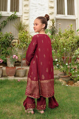 Cotton Karandi Printed 3 Pc Suit - Wear Ochre