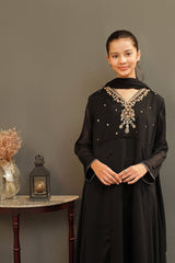 Chiffon Hand Adda Work 3 Pc Suit - Wear Ochre