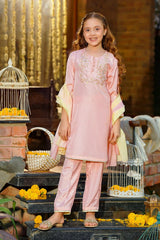 Best Cotton Silk Hand Adda Work 3 Pc Suit - Wear Ochre -