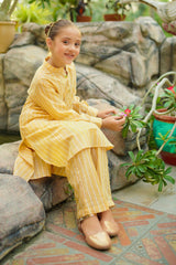 Ochre Clothing Chambray Cotton 2 Pc Suit Collection'2025