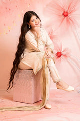 Best Cey Cotton Embroidered 3 Pc Suit - Wear Ochre -
