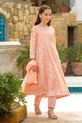 Slub Manar Hand Adda Work 3 Pc - Wear Ochre