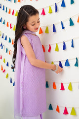 Chiffon Embroidered 3 Pc Suit - Wear Ochre