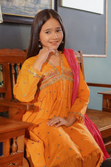 Ochre Clothing Girls Full Suits Cotton Embroidered 3 Pc Suit