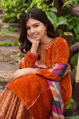 Ochre Clothing Velvet Hand Adda Work 3 Pc Suit Collection'2025-OVF-41