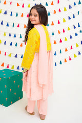 Chiffon Embroidered 3 Pc Suit - Wear Ochre