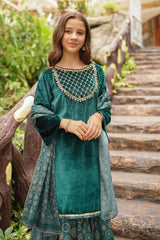 Ochre Clothing Velvet Hand Adda Work 3 Pc Suit