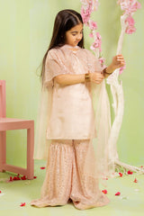 Ochre Clothing Cotton Silk Embroidered 3 Pc Suit