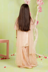 Ochre Clothing Cotton Silk Embroidered 3 Pc Suit