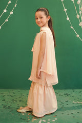 Chiffon Embroidered 3 Pc Suit - Wear Ochre