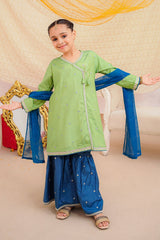 Ochre Clothing Stitched 3 Piece Emb Cotton Silk Collection'2025-INSHD-10