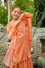 Ochre Clothing Stitched 3 Piece Digital Printed Herringbone Collection'2025-COR-117