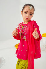 Ochre Clothing Stitched 3 Piece Emb Raw Silk Collection'2025-INMHD-11