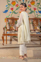 Chiffon Embroidered 3 Pc Suit - Wear Ochre